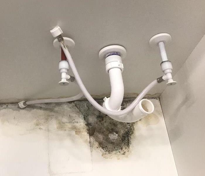 plumbing in a white cabinet with mold growth on the bottom