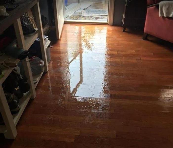 water on hardwood floor by entry door