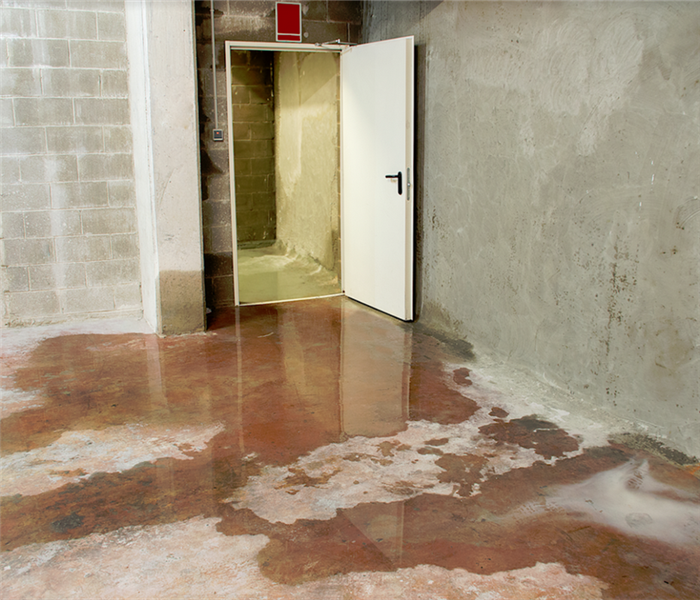 a flooded basement