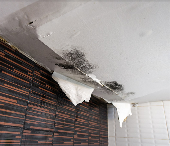 a flood damaged ceiling that is dropping from the weight of the floodwater